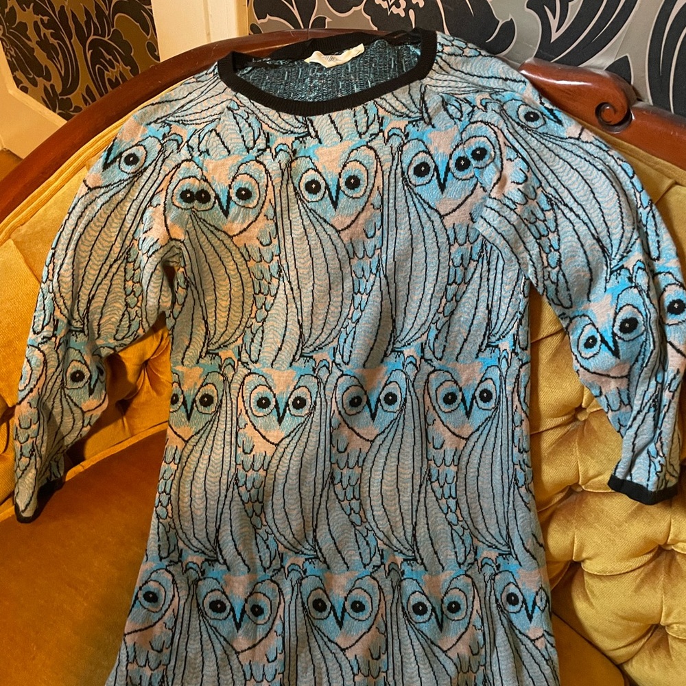 HWR by Anthropologie Owl sweater tunic size xs